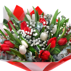 Tulipány k Valentýnu (2)